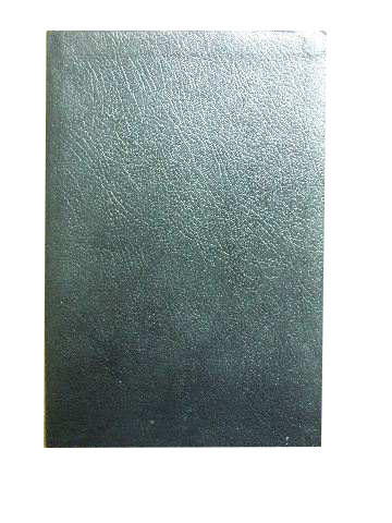 Image for Holy Bible.