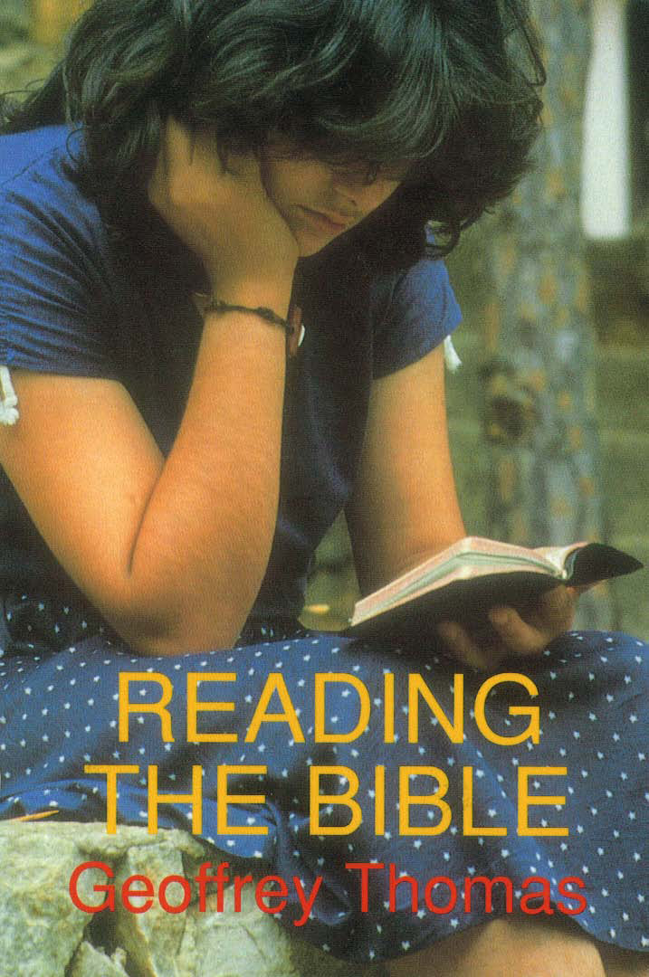 Image for Reading the Bible.
