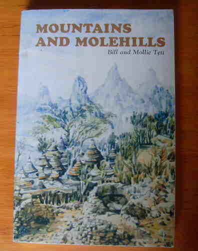 Image for Mountains and Molehills.