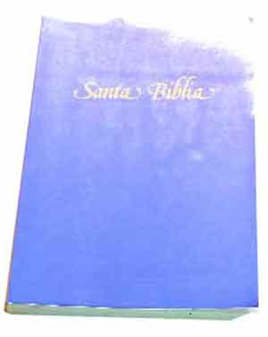 Image for Santa Biblia.