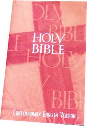 Image for The Holy Bible.