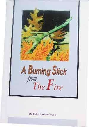 Image for A Burning Stick from the Fire.