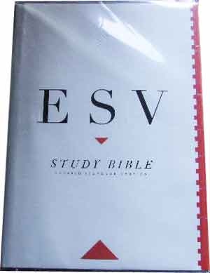 Image for English Standard Version Study Bible (Large Print Edition).