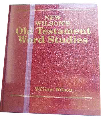 Image for Old Testament Word Studies.