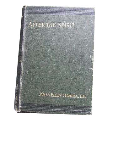 Image for "After the Spirit"  Being Further Papers on The Eternal Spirit, His Person and Work