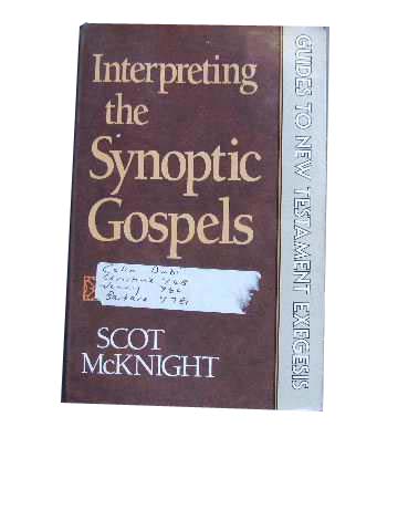 Image for Interpreting the Synoptic Gospels  Guides to New Testament Exegesis