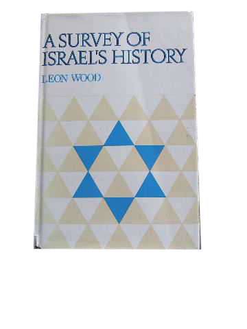 Image for A Survey of Israel's History.